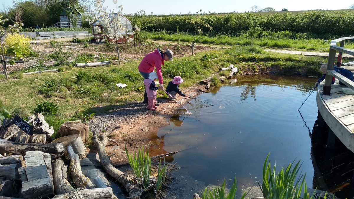Children pond dipping at the farm